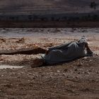 Berbères contemplatif devant l'eau