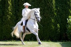 Berberhengst Uhab mit Petra Jürgens vom Berberhof Sonnenwiese