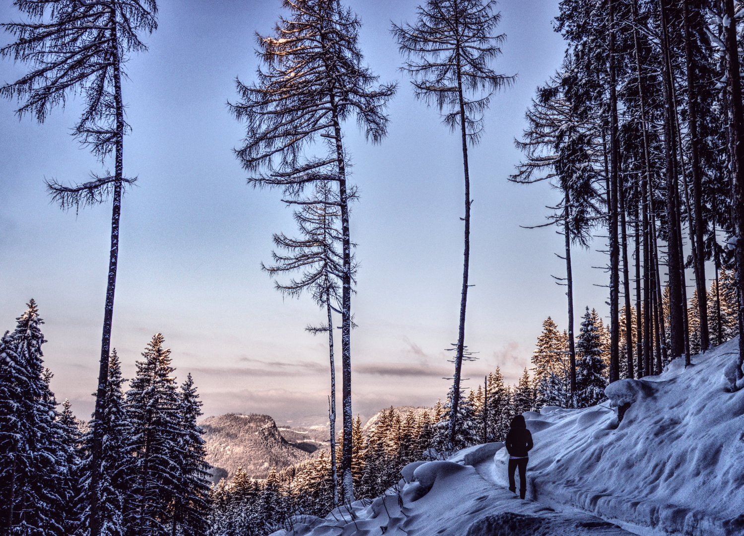 Berchtesgaden / Carl von Linde Weg