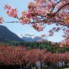 Berchtesgaden - Impressionen 29 