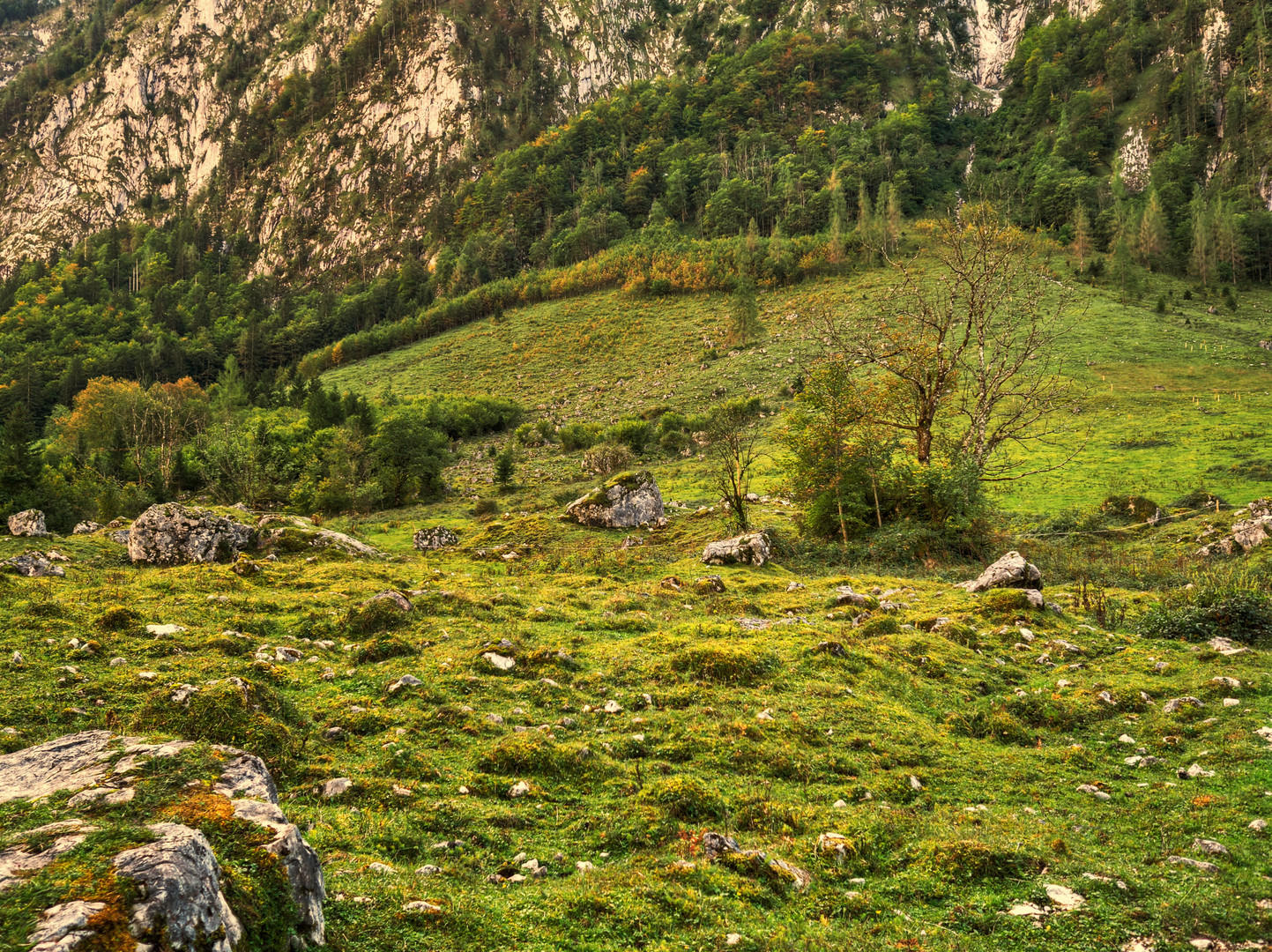  Berchtesgaden National Park