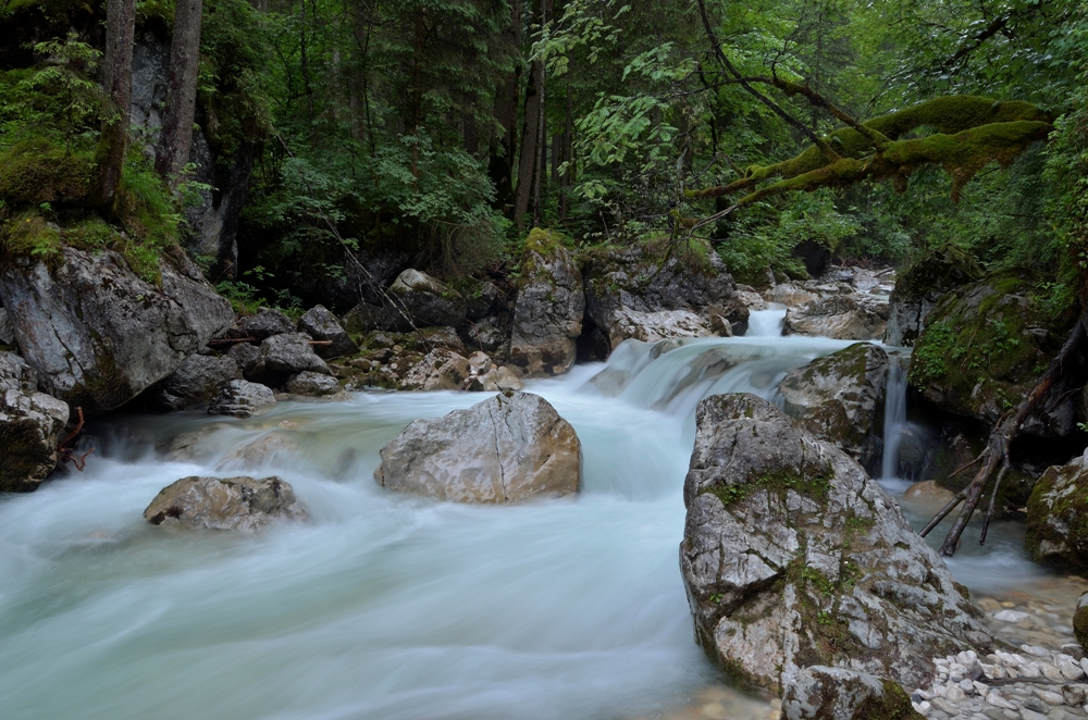 Berchtesgaden: Zauberwald