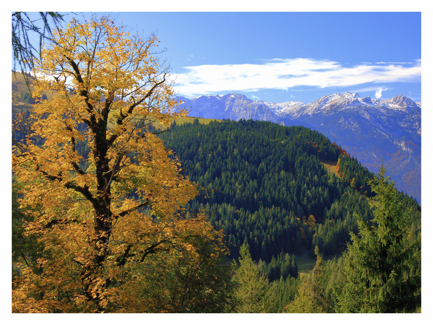 Berchtesgadener Alpen