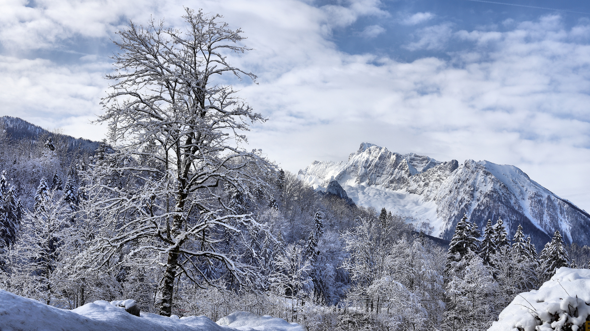 Berchtesgadener Land 