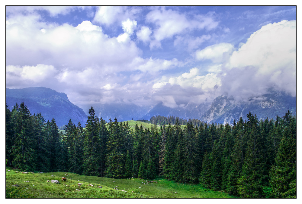 Berchtesgadener Land, auf dem Weg zur Königsbachalm