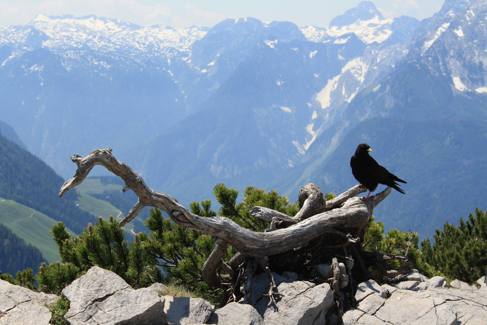 Berchtesgadener Land