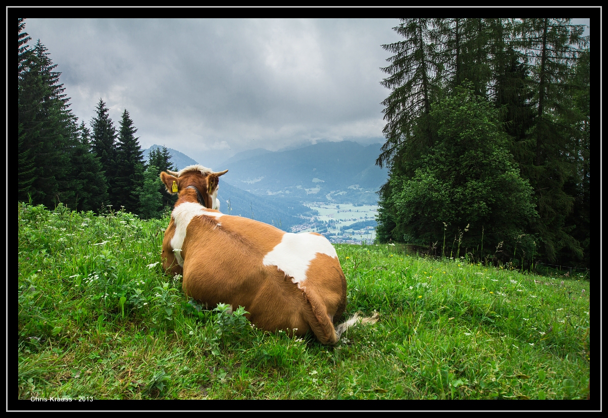 Berchtesgadener Land - Feierabend am Jenner