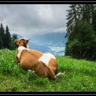 Berchtesgadener Land - Feierabend am Jenner