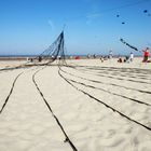 berck 2011 (2)