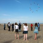 berck 2011 (5)