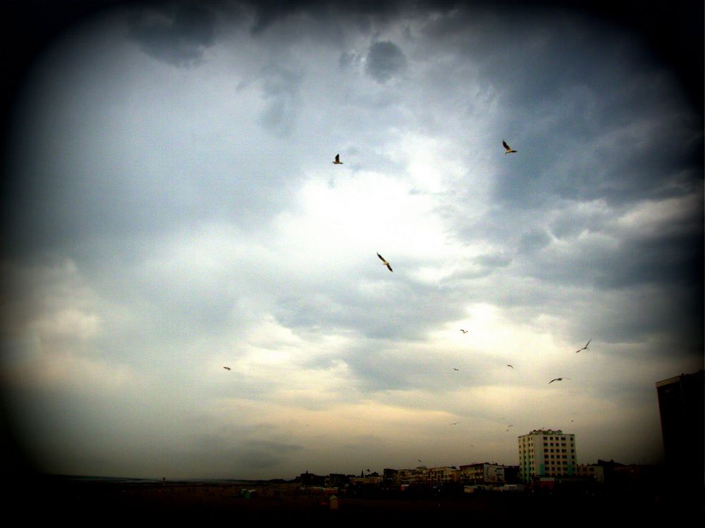 Berck 2012