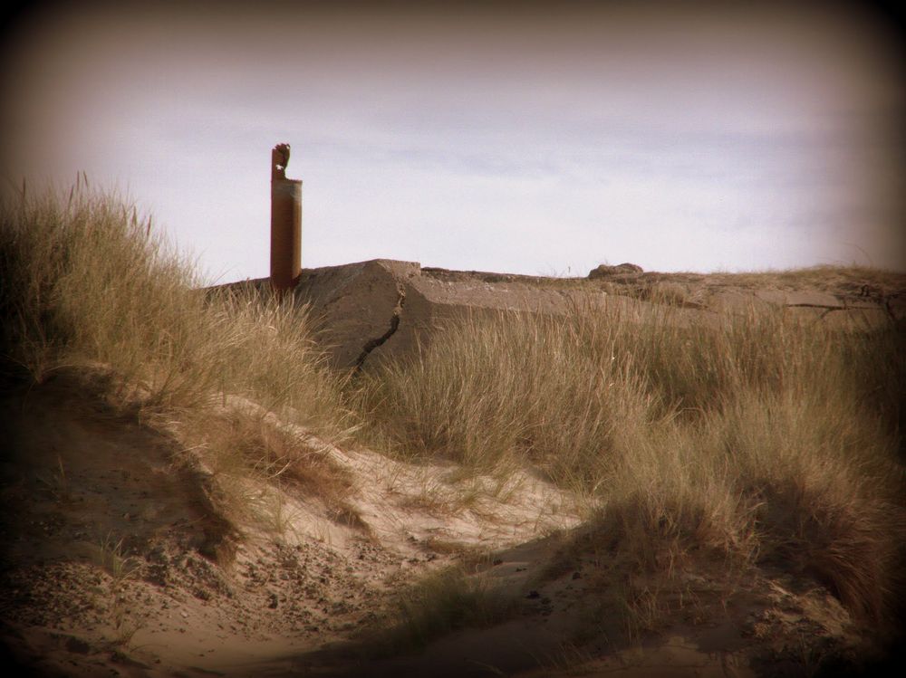 Berck 2012, France