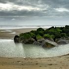 Berck Sur Mer - Strand