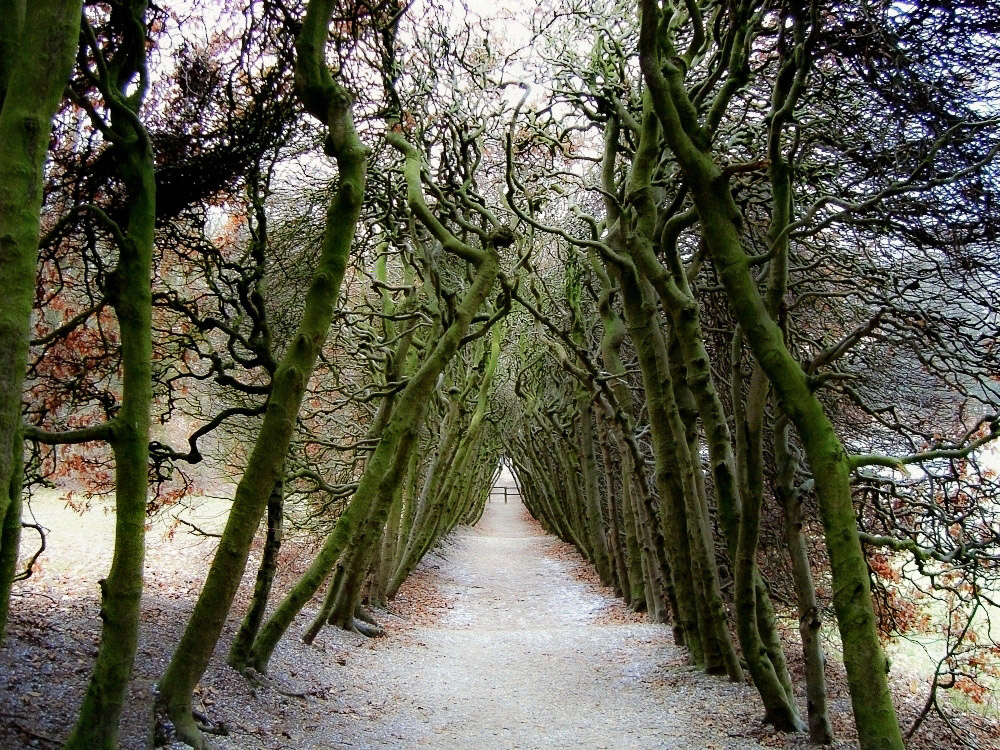 berçeau at Mariendaal estate