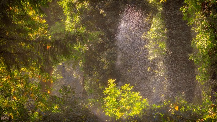 beregnet ::::°°°°°.....