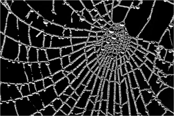 Bereift und angetaut...