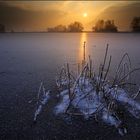 Bereifter Lichtstängel im Laich