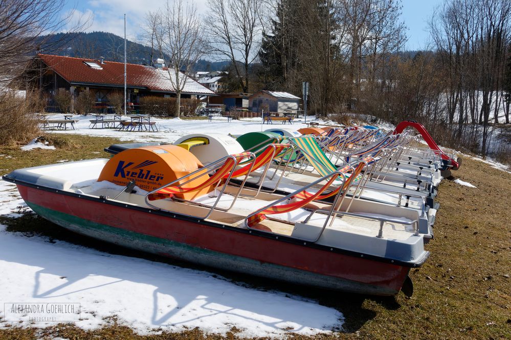 Bereit für den Frühling