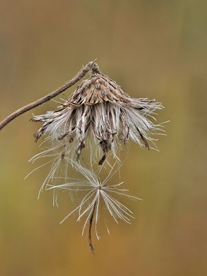 Bereit für den Neuanfang....