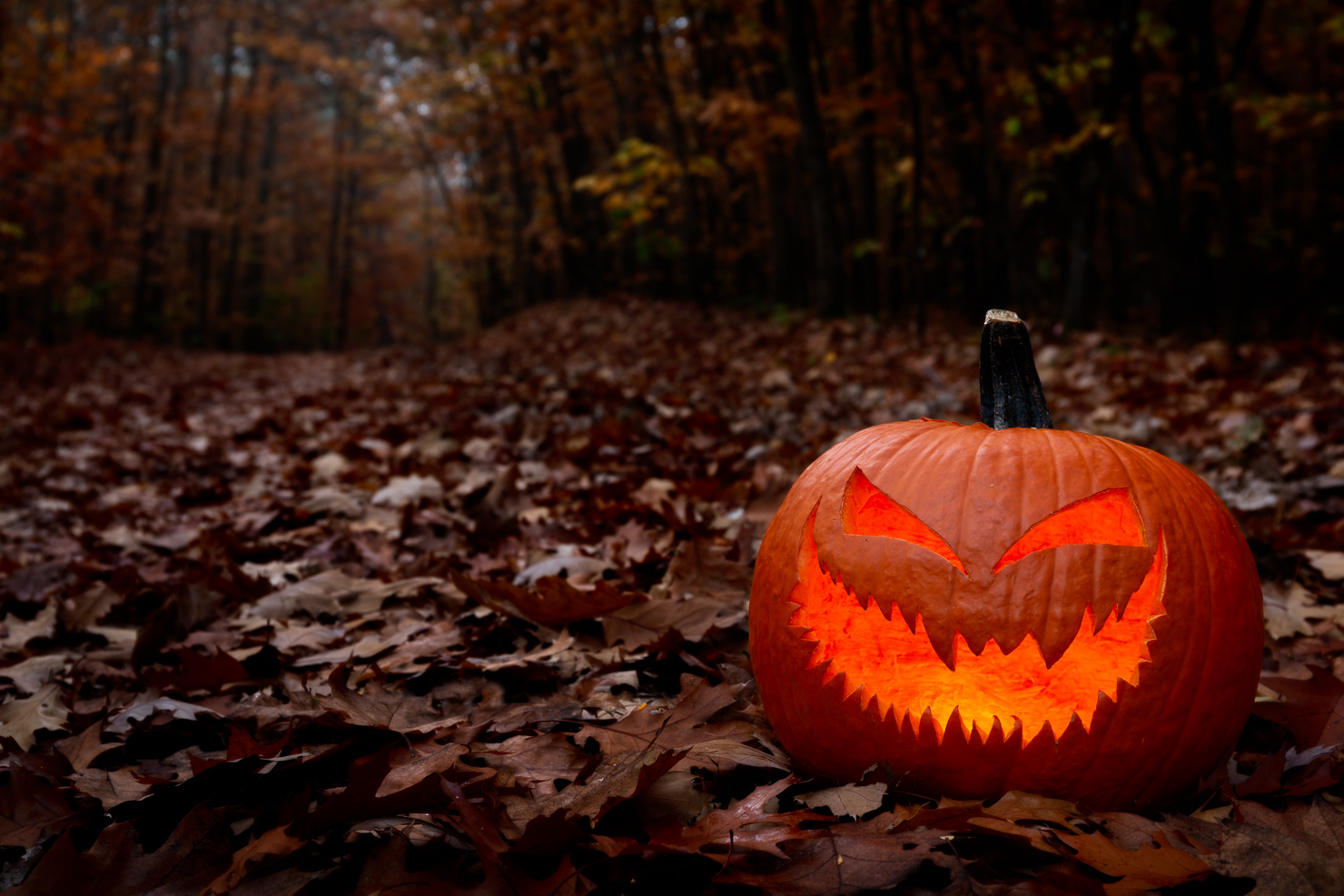 ~~ Bereit für Halloween ~~