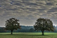 Bereit machen für den Winterschlaf.