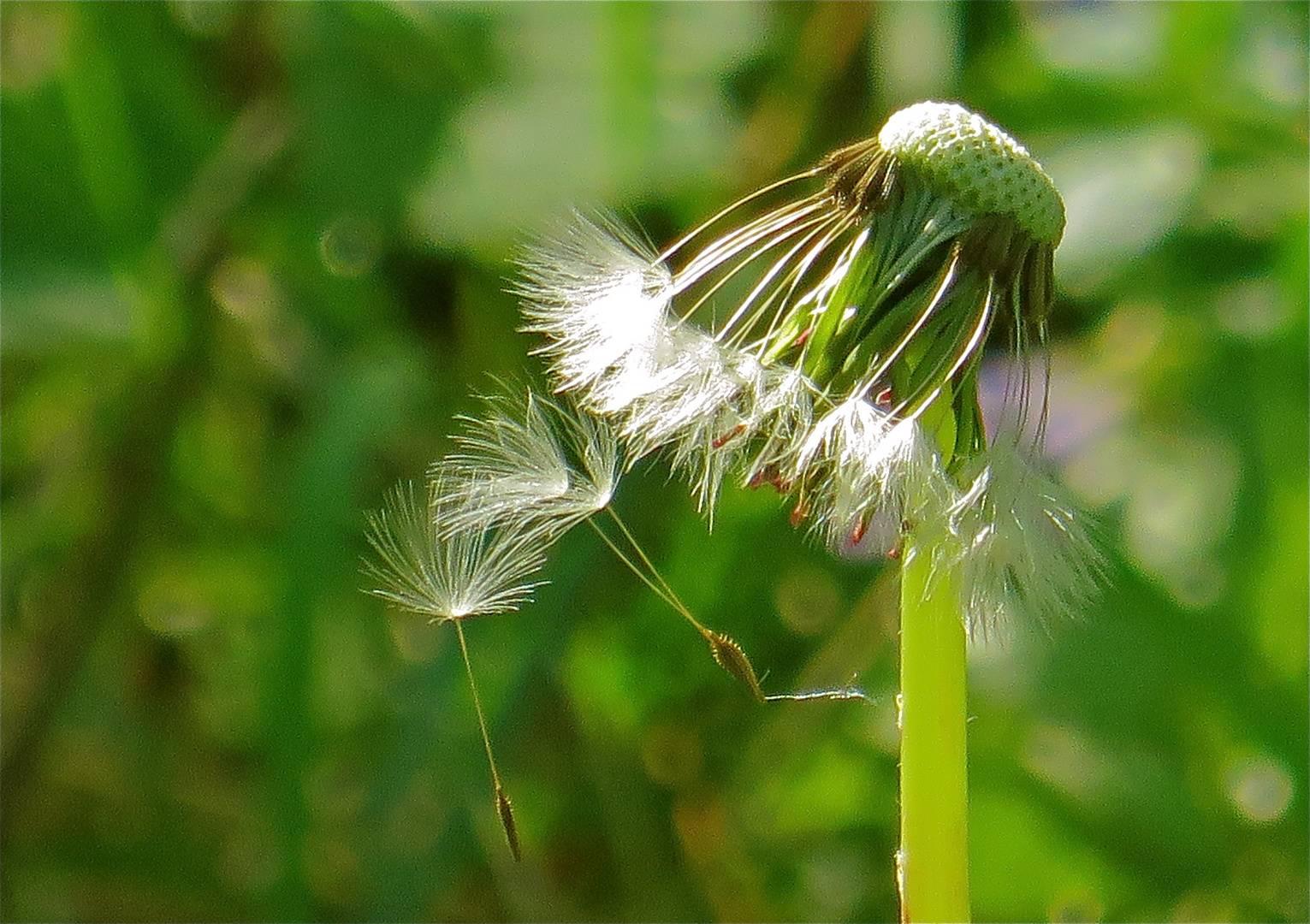 ..bereit zu fliegen !!!...