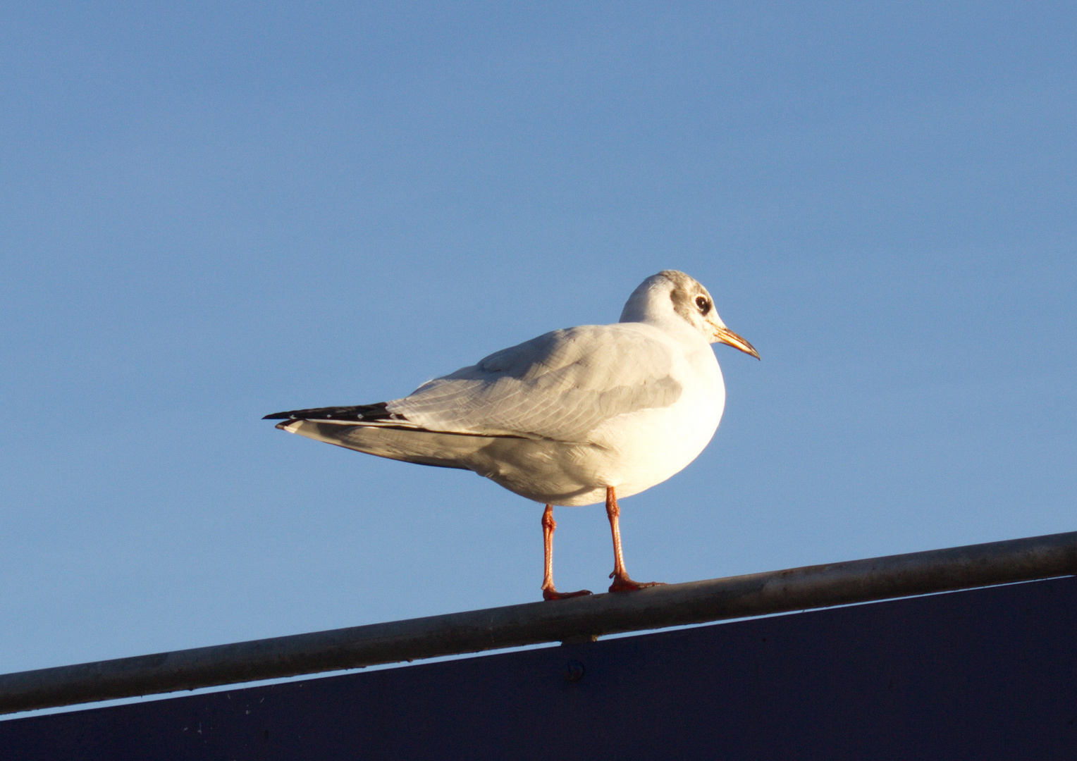 Bereit zum Abflug