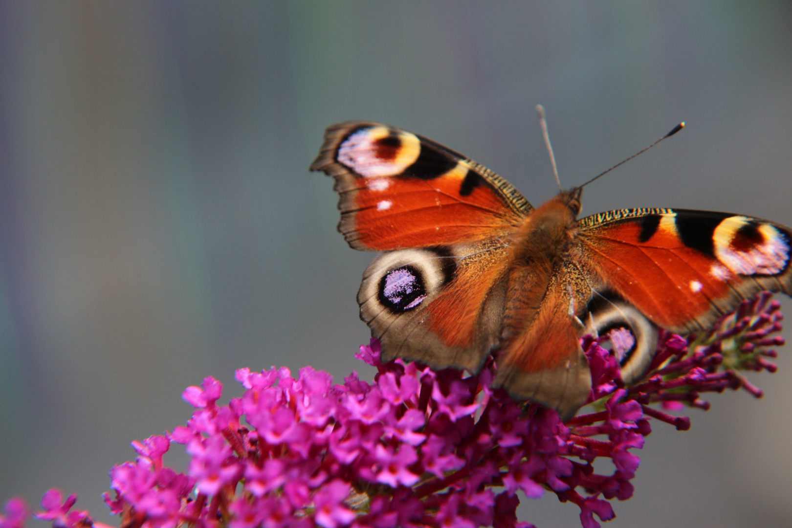 Bereit zum Abflug