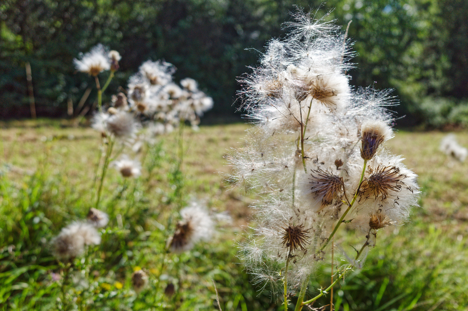 Bereit zum Abflug