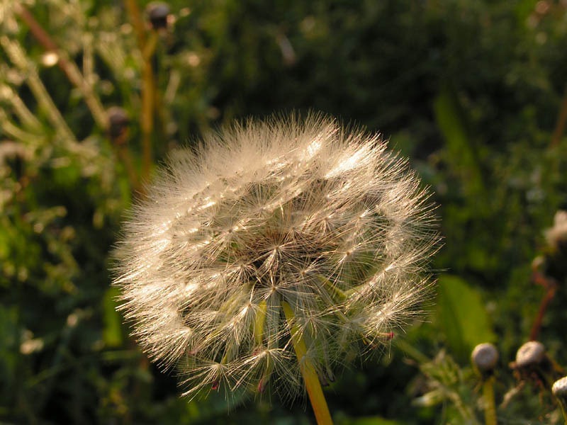 Bereit zum Abflug