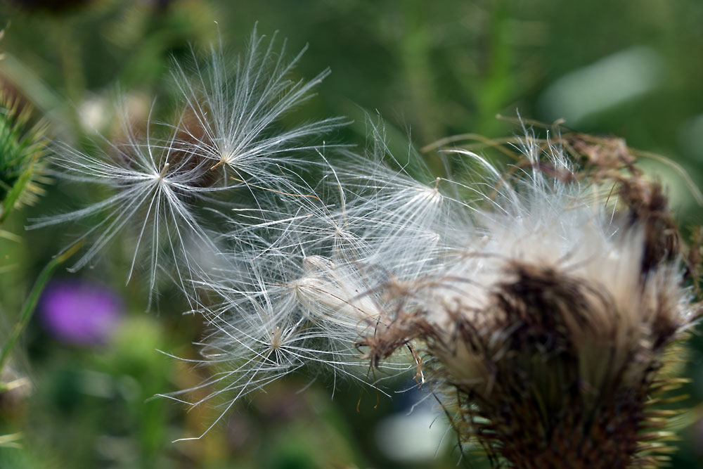 bereit zum Abflug