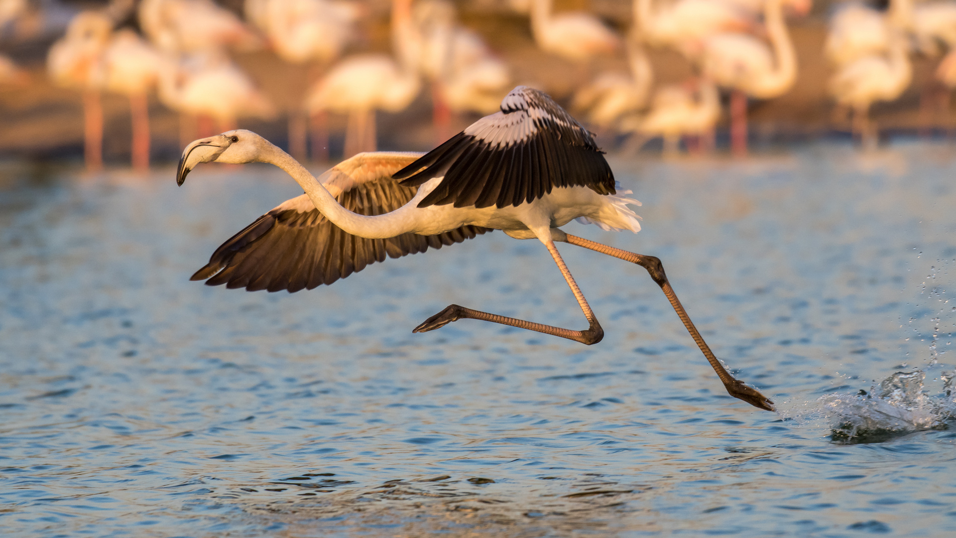 Bereit zum Abflug