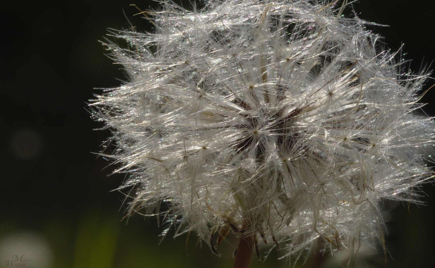 bereit zum Abflug