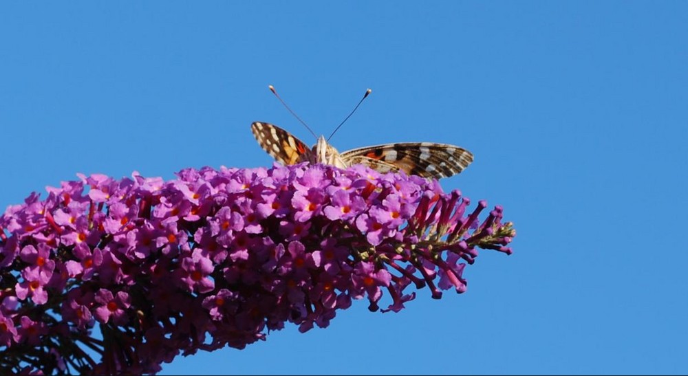 Bereit zum Abflug