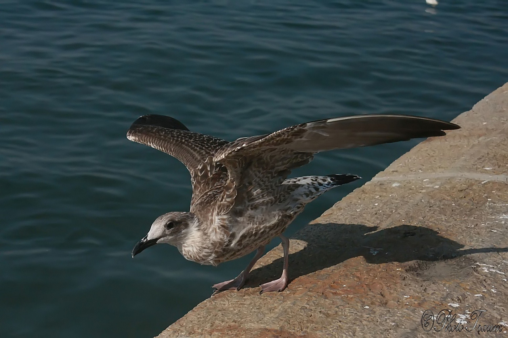 Bereit zum Abflug