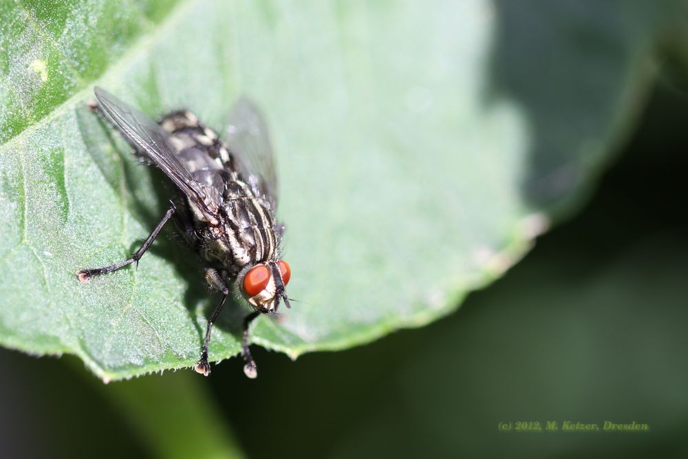 Bereit zum Abflug