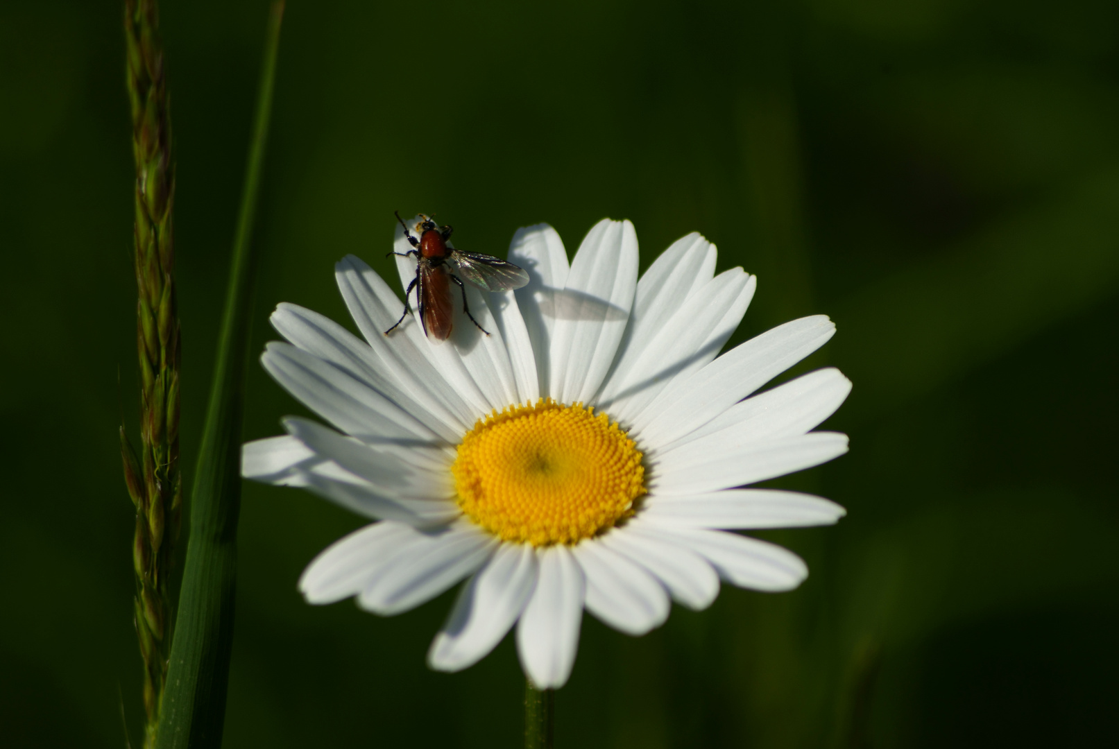 Bereit zum Abflug