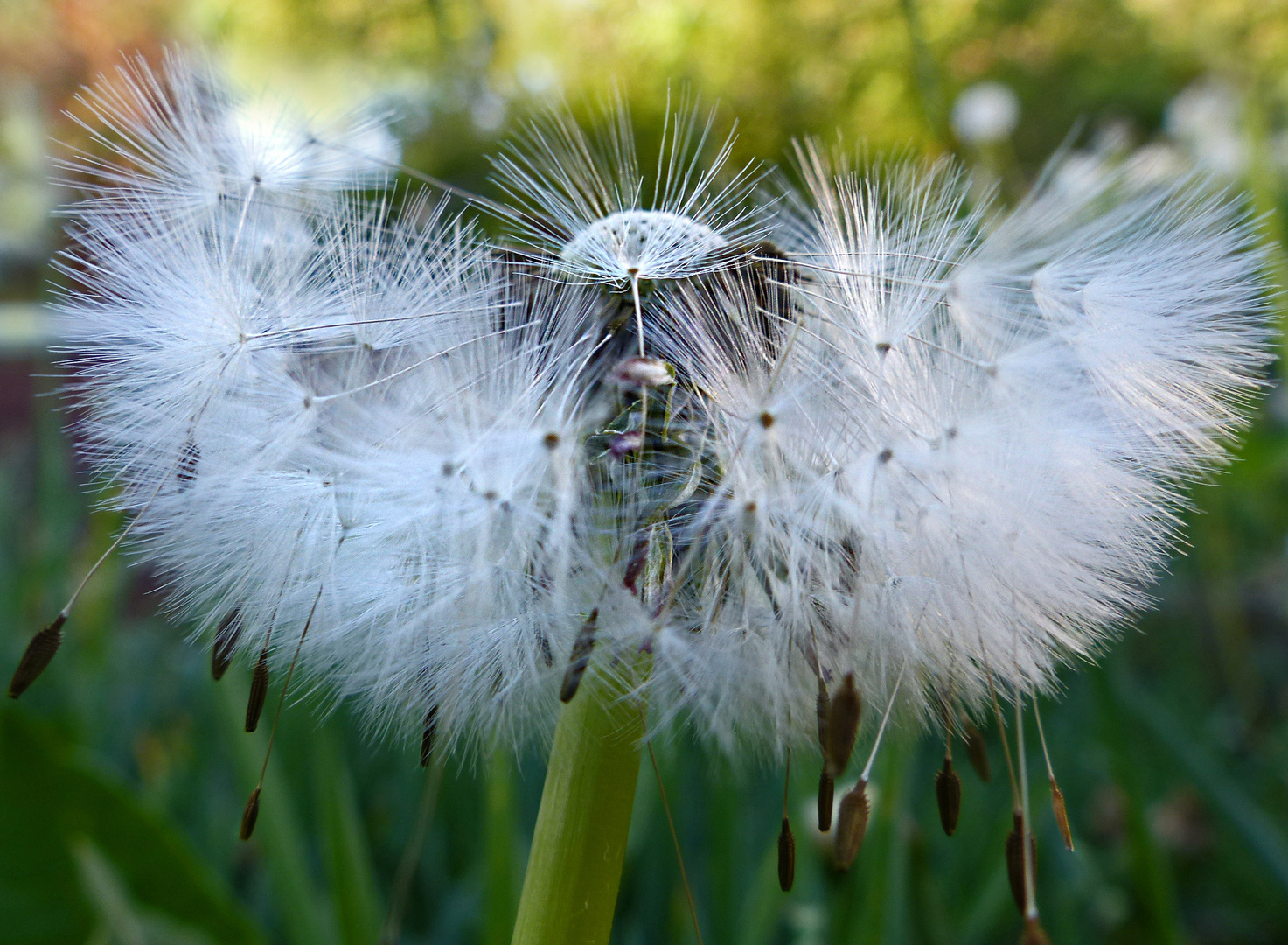 Bereit zum Abflug