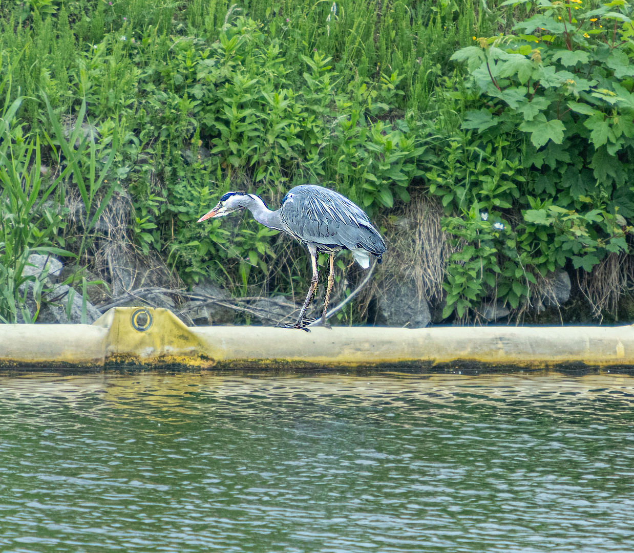 Bereit zum Abflug