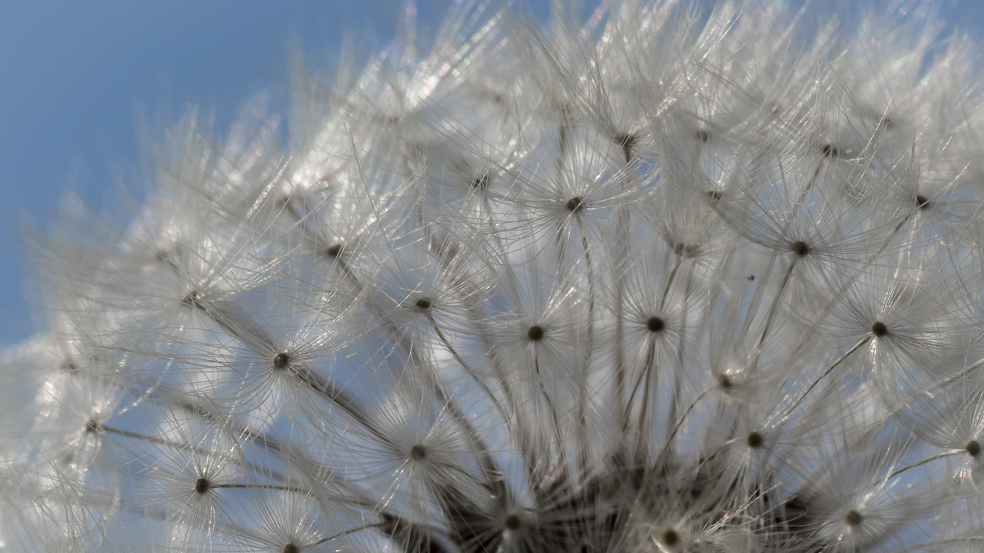 Bereit zum Abflug