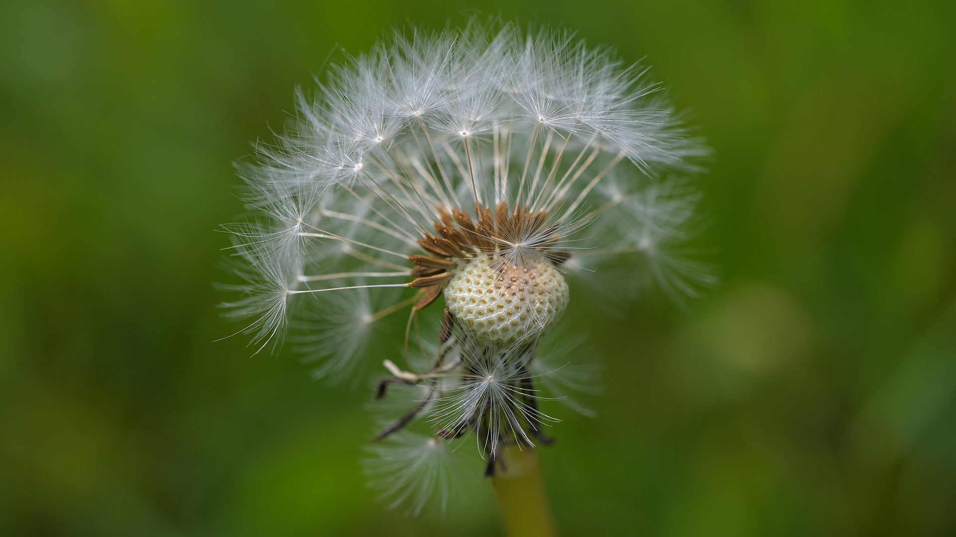 Bereit zum Abflug