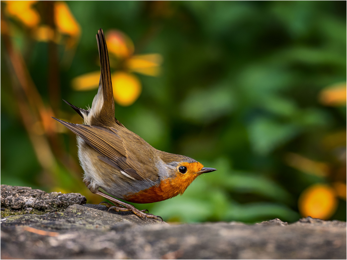 Bereit zum Abflug