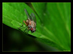 Bereit zum Abflug