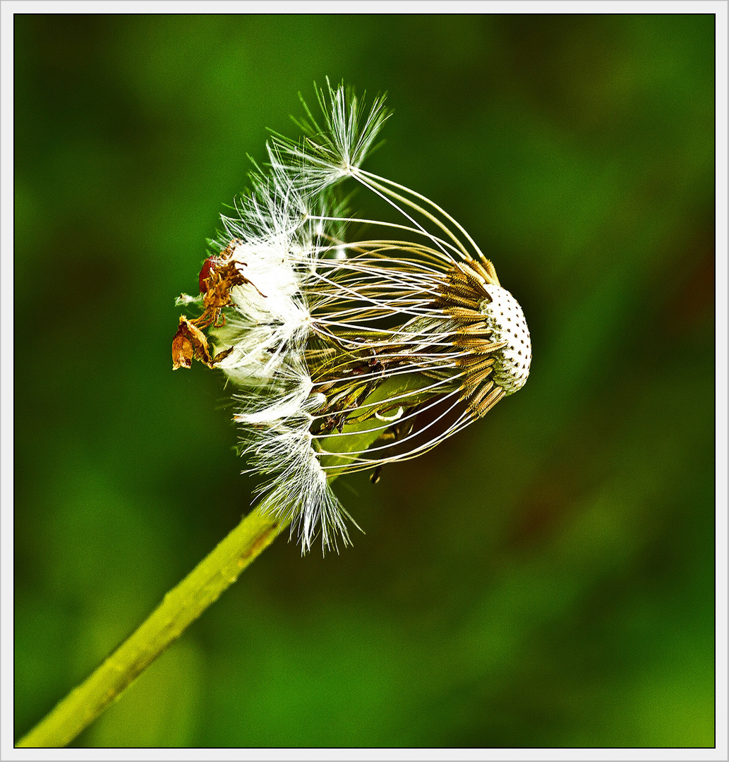 Bereit zum Abflug