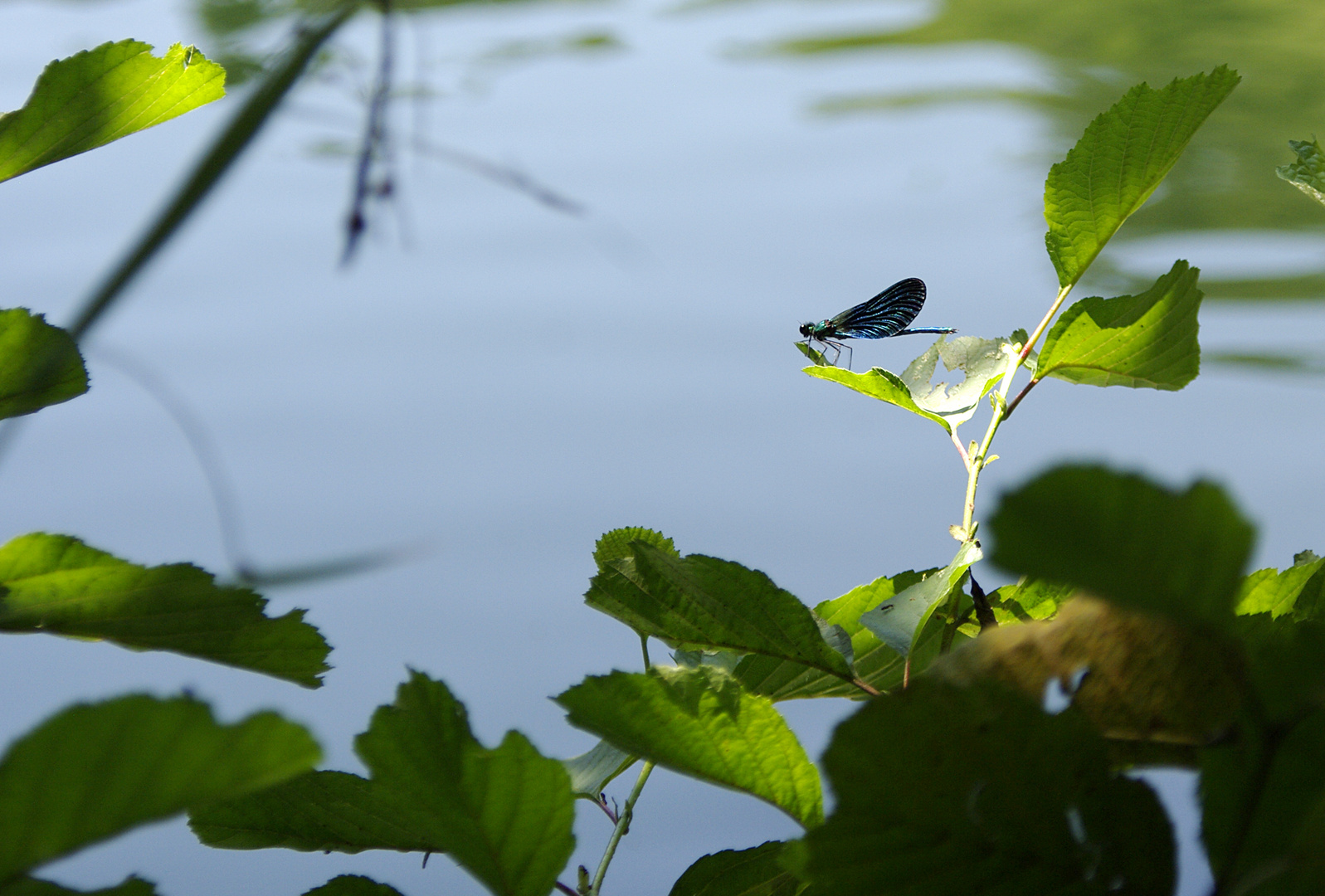 Bereit zum Abflug