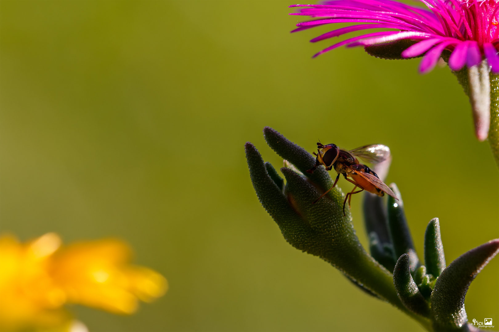 Bereit zum Abflug - Fliege111