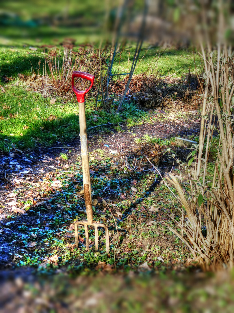 Bereit Zum Muschilecken? Bereit Zum Muschilecken?