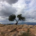 Berg Arbel - am Westufer des See Genezareth