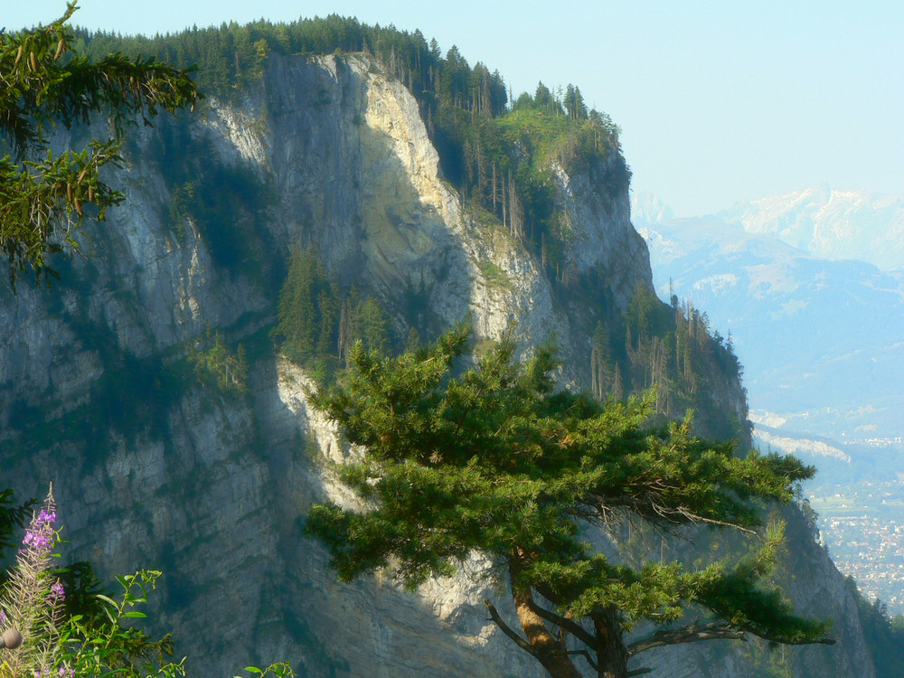 Berg beim Karren