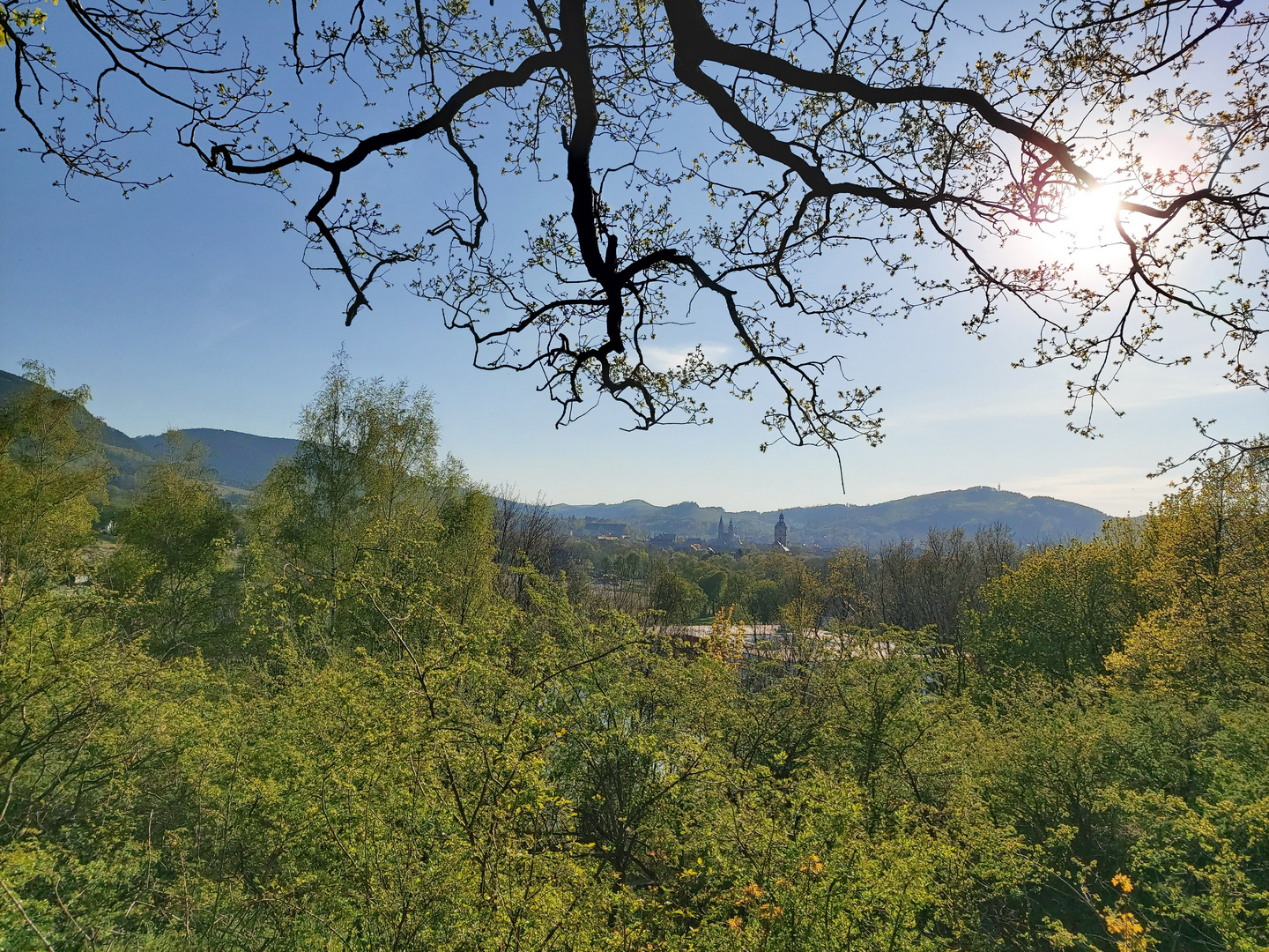 (Berg-)Blick  auf Goslar 